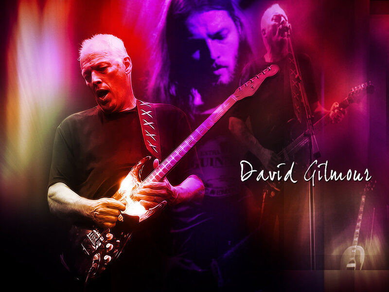 David Gilmour performing live