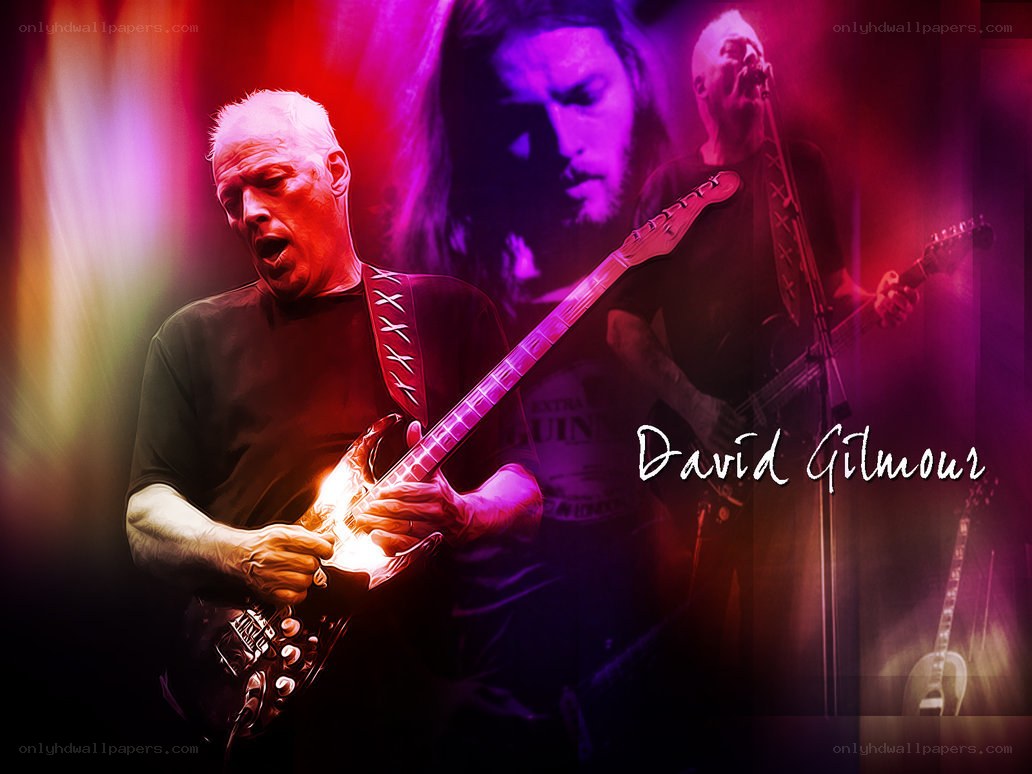 David Gilmour performing live