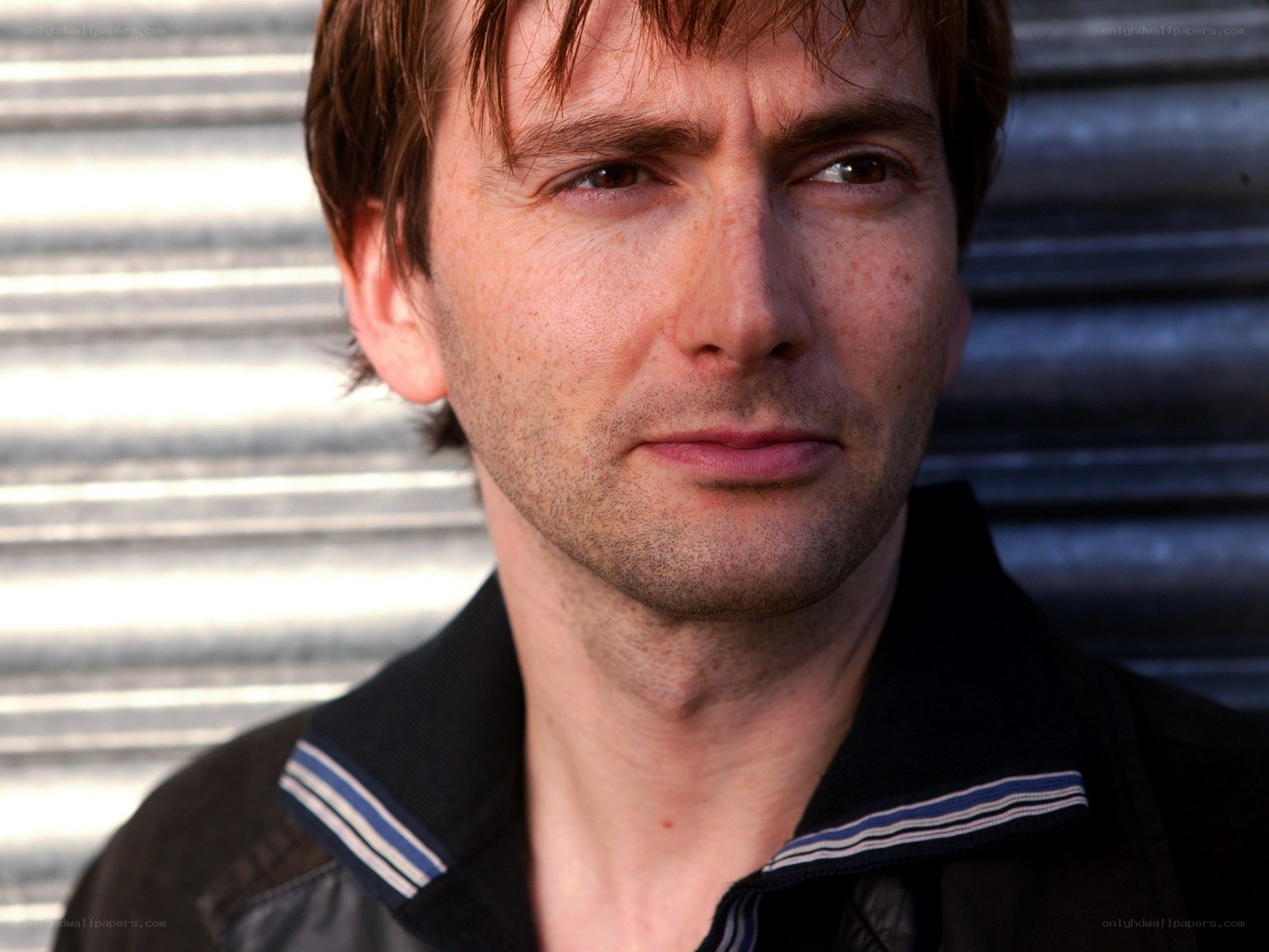 David Tennant portrait