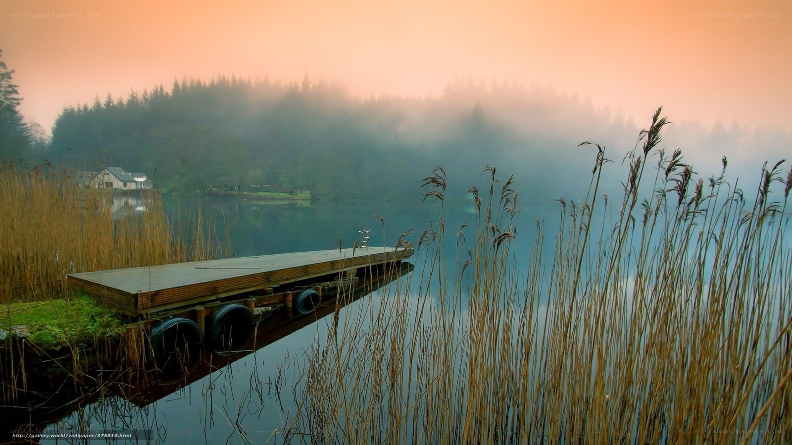 Dawn at the misty lake