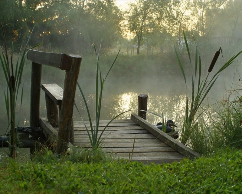 Dawn at the pond dock
