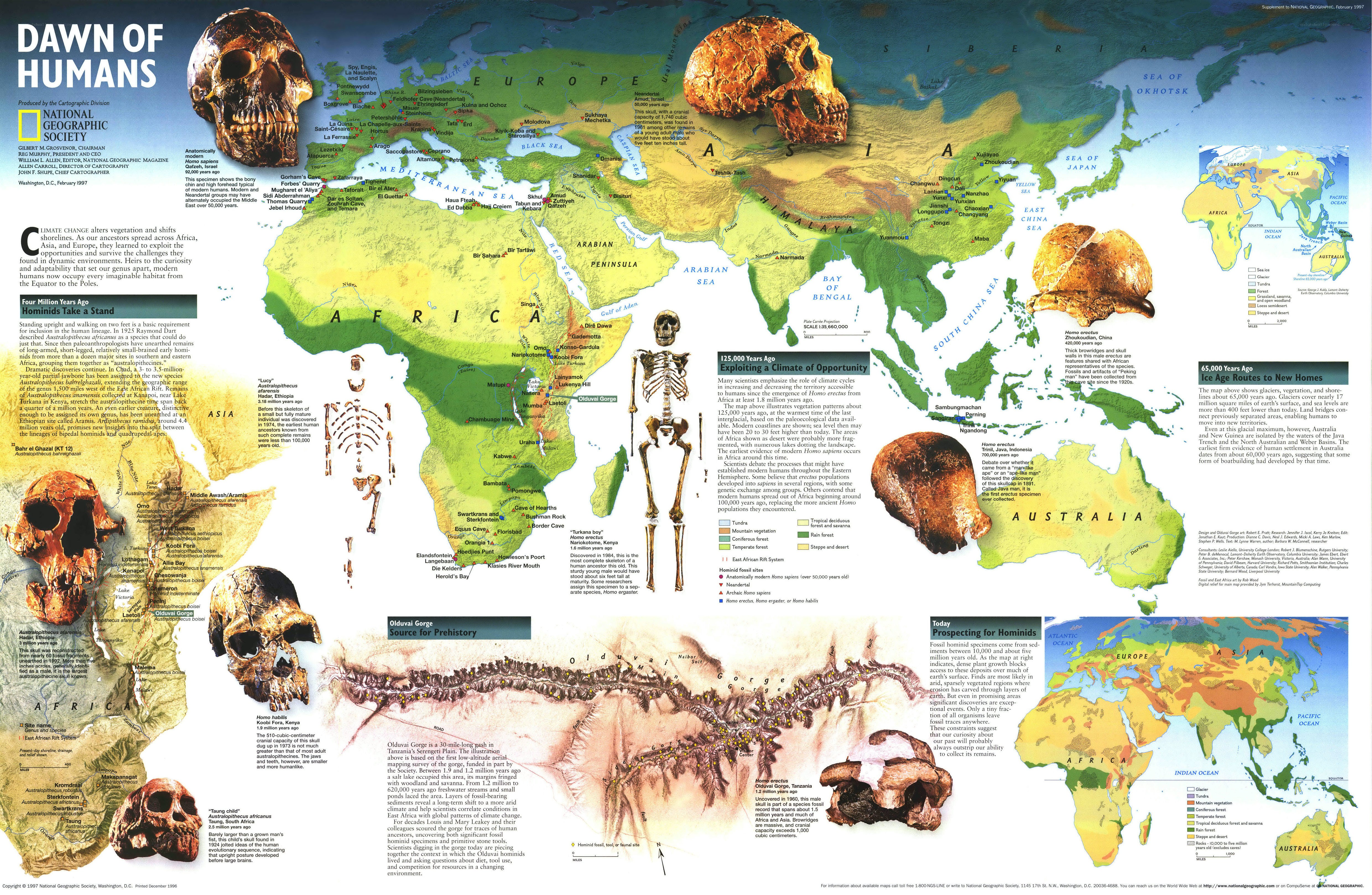 Dawn of Humans map