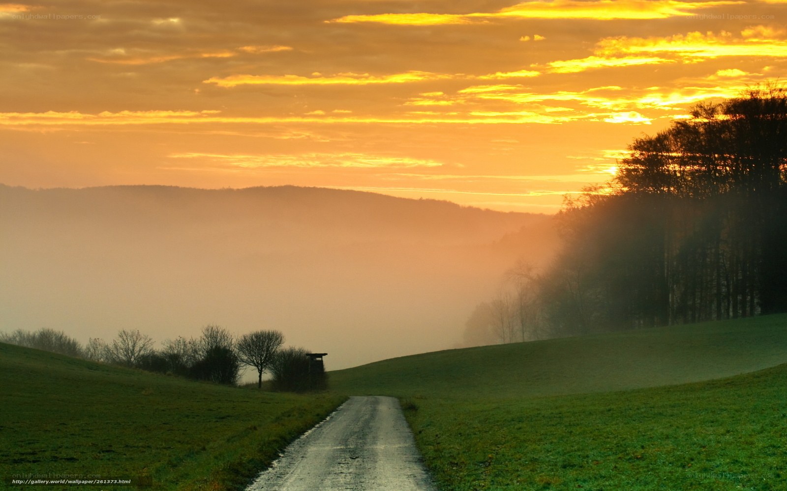 Dawn over a misty country road