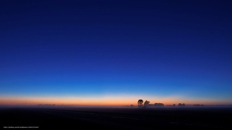 Dawn over a misty field