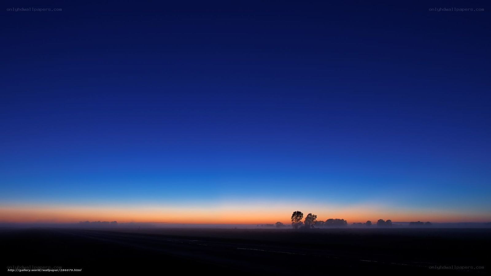 Dawn over a misty field