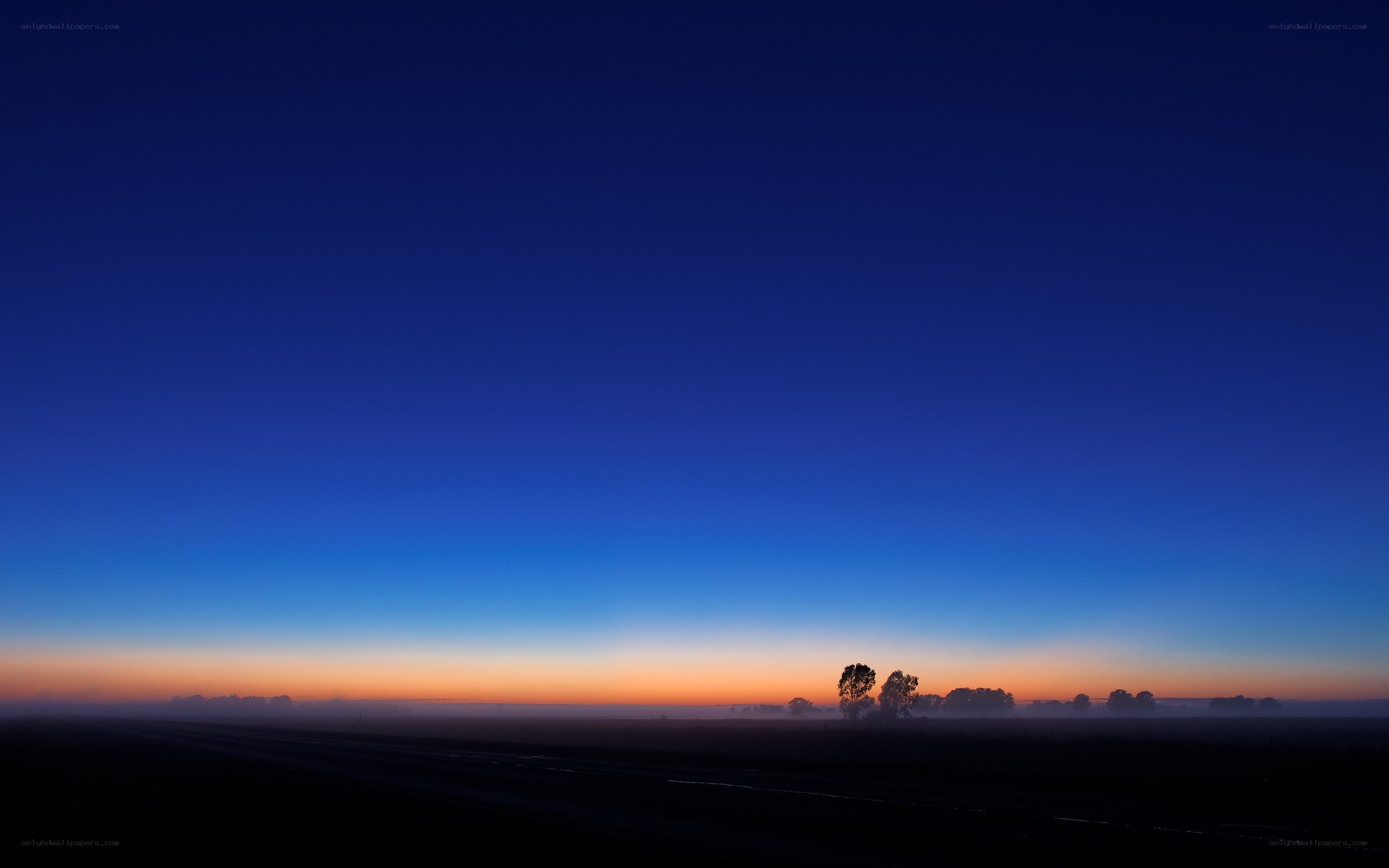 Dawn over a misty field