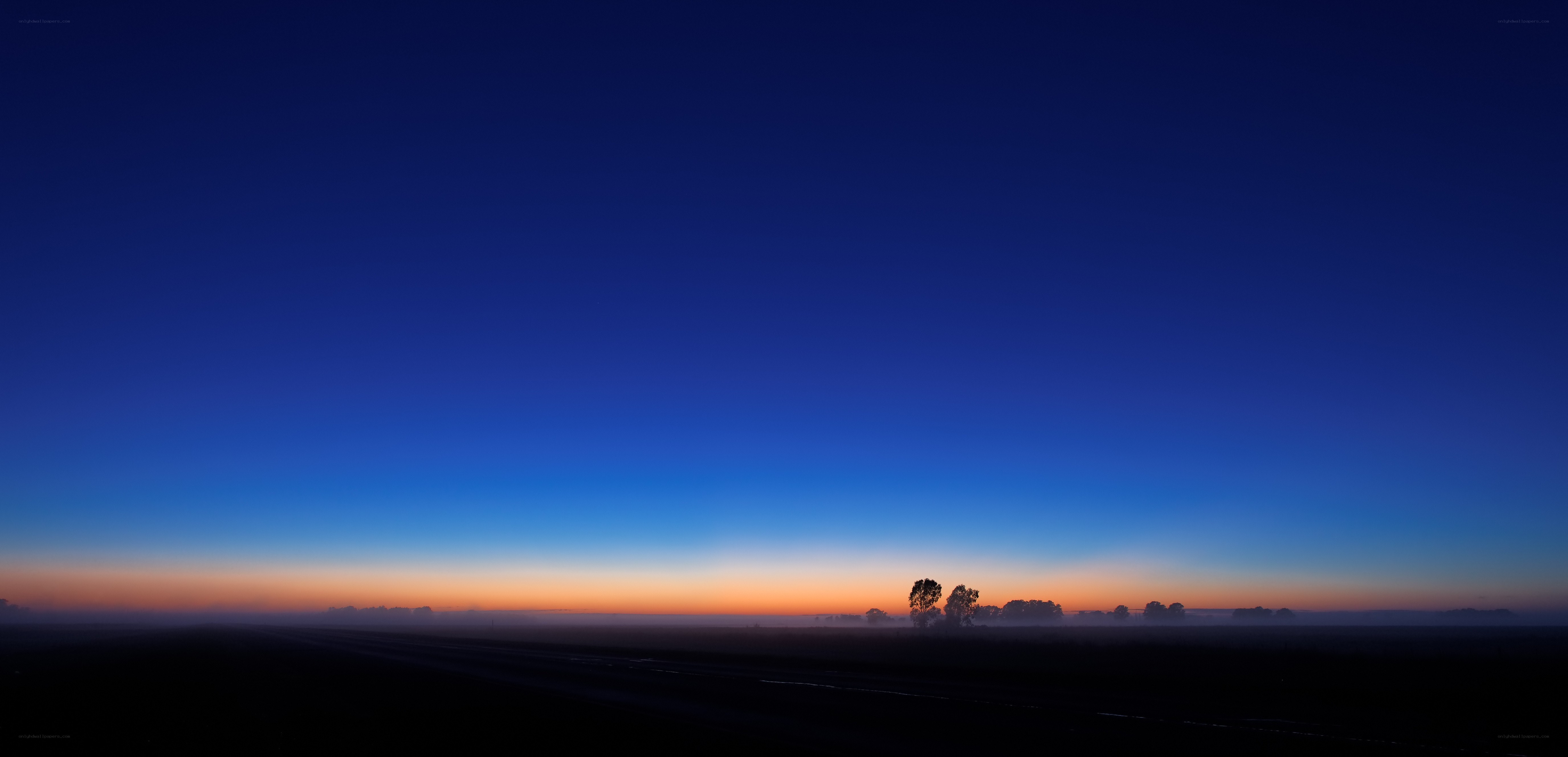 Dawn over a misty field