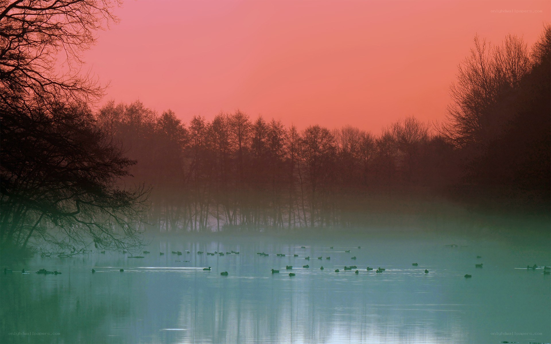 Dawn over a misty lake
