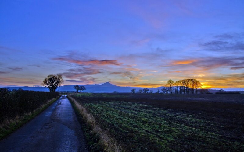 Dawn over a rural road