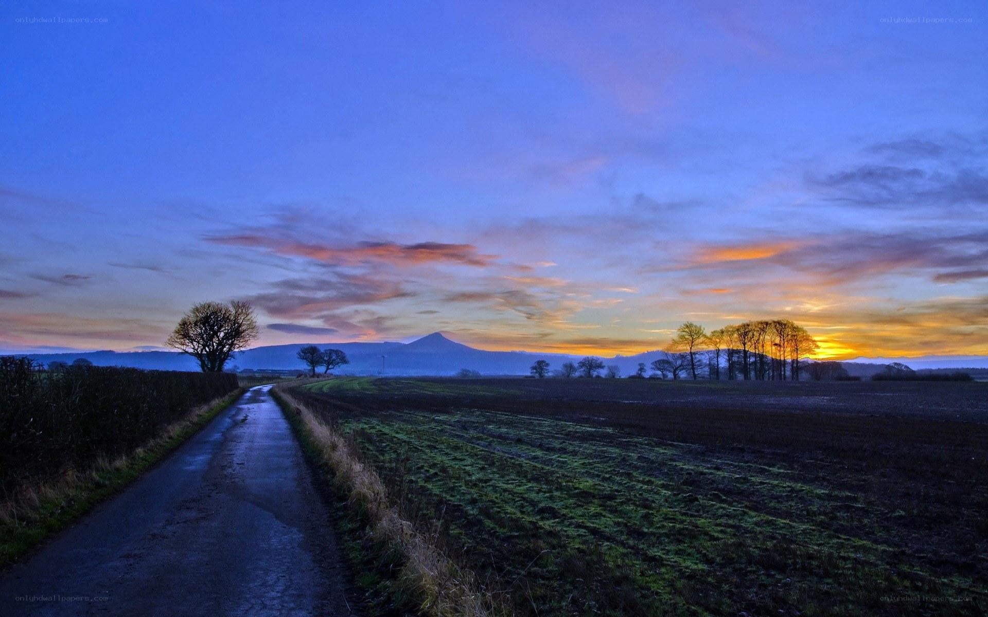 Dawn over a rural road