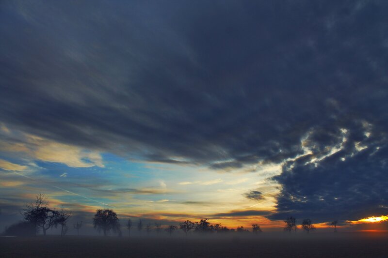 Dawn over misty field