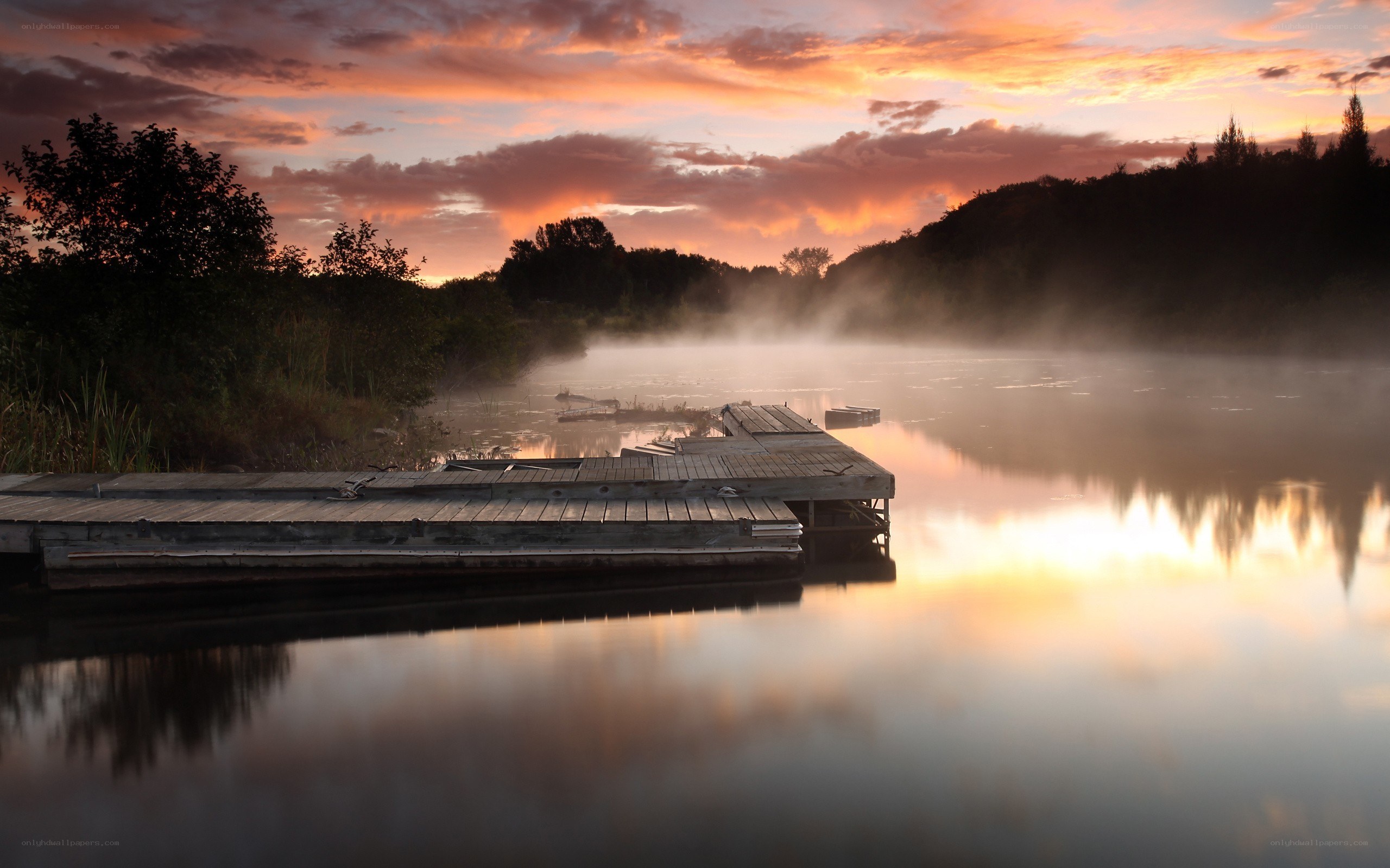Dawn over misty lake dock