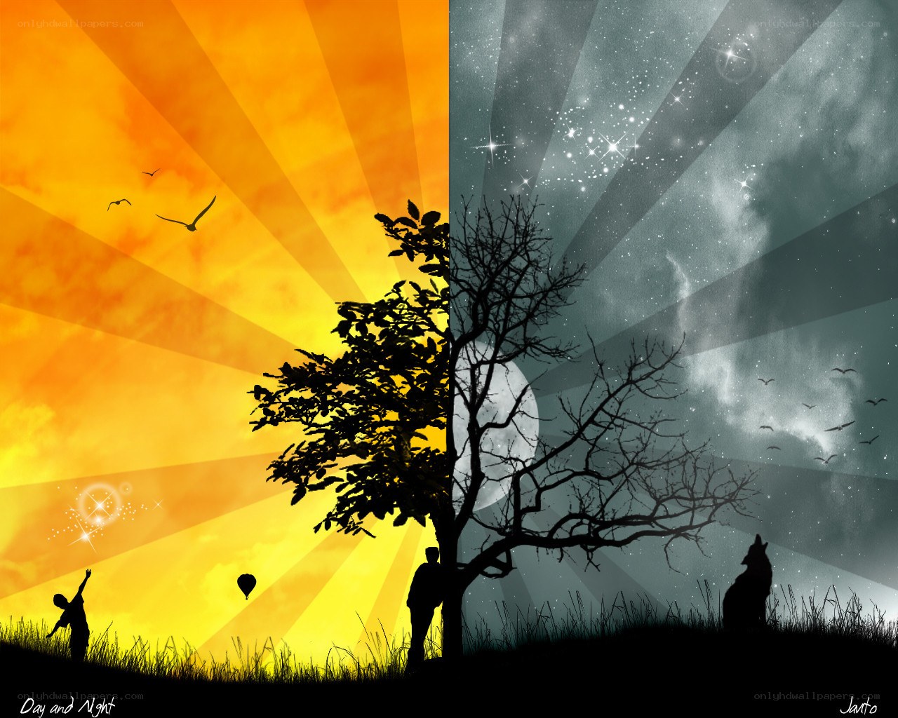Day and Night Contrast