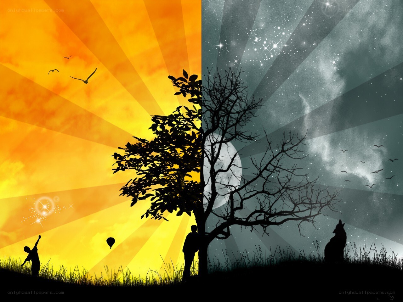Day and night split scene