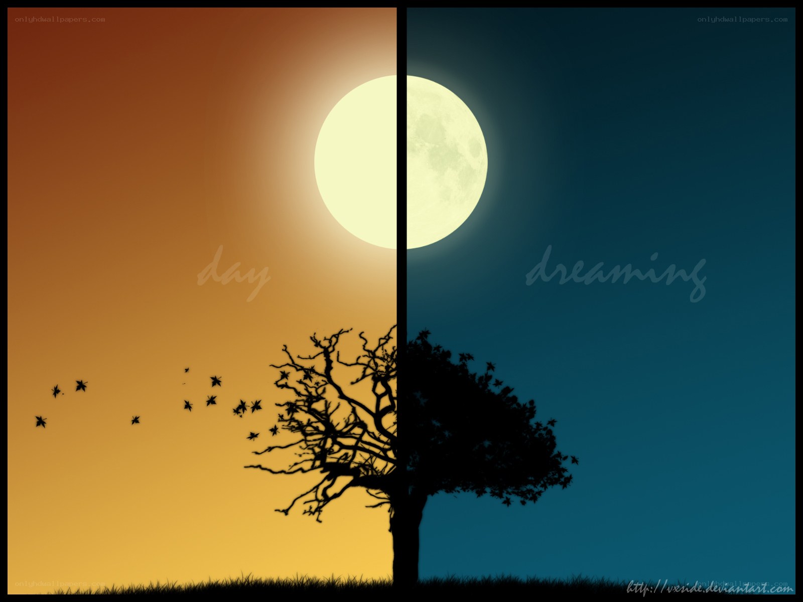 Day and night split with tree