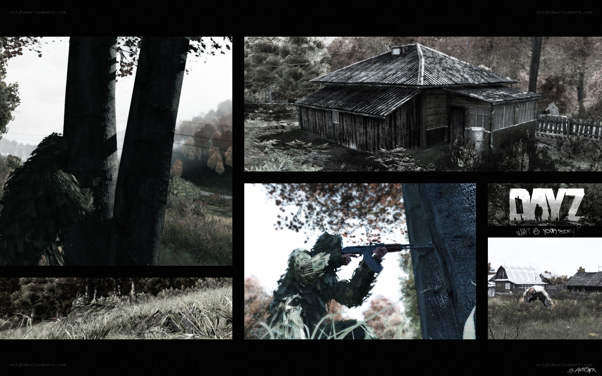 DayZ game concept art collage