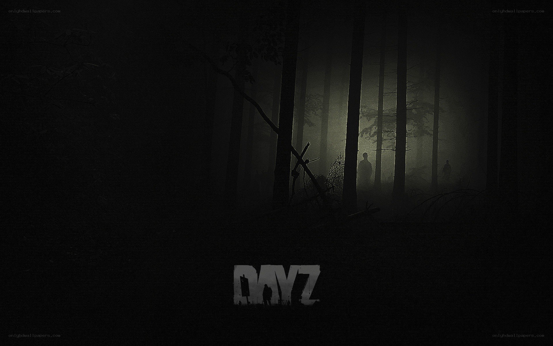DayZ game cover art