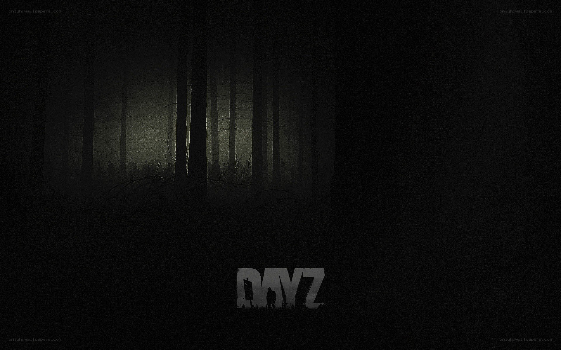 DayZ game logo in dark forest
