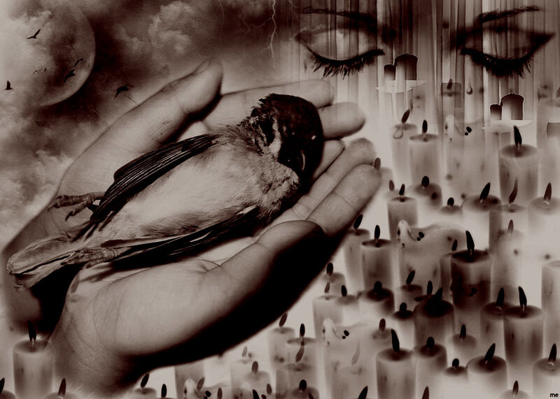 Dead Bird in Hand