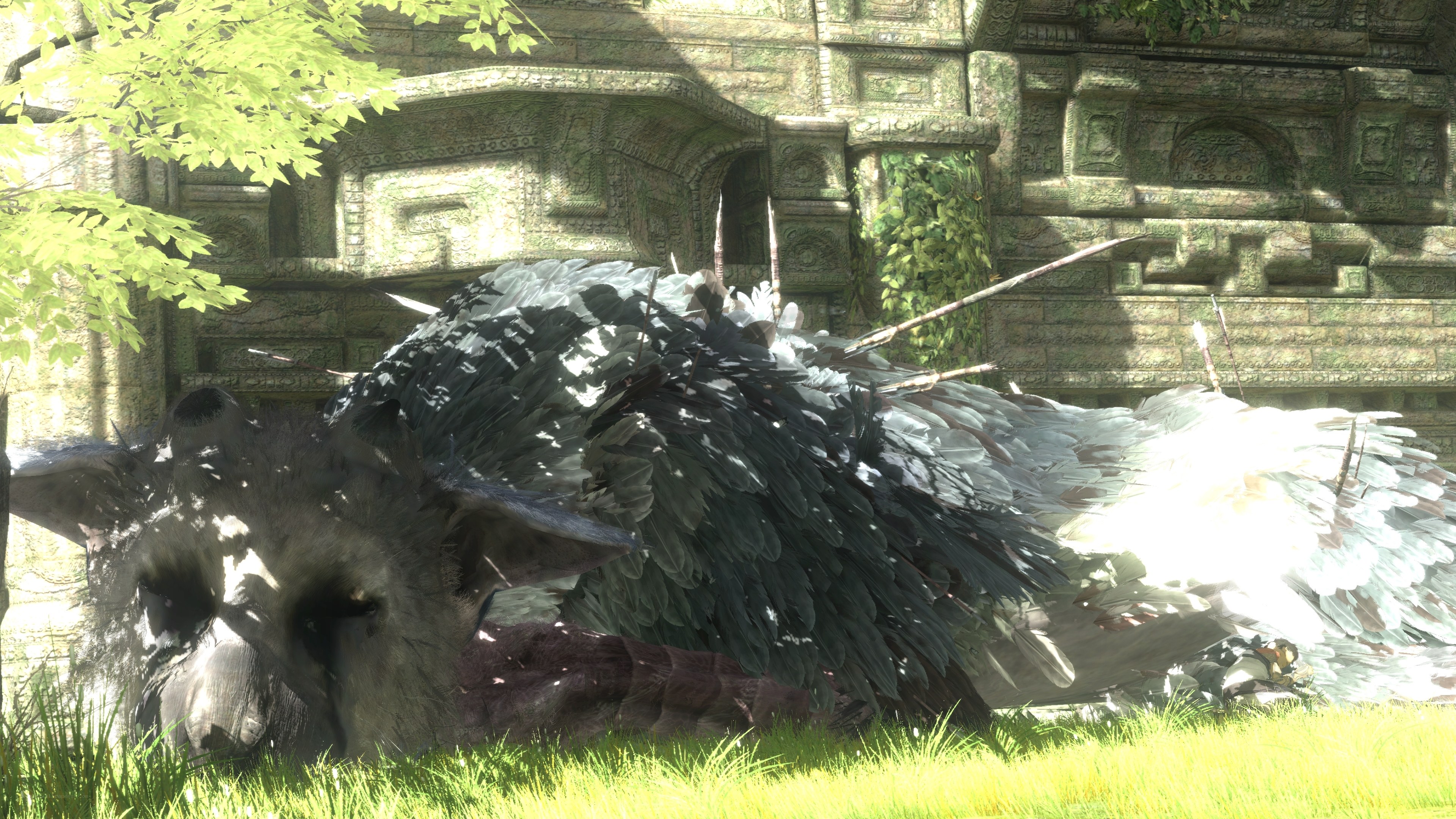 Dead bird-like creature in ruins