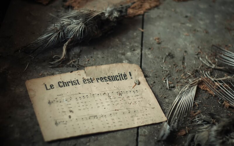 Dead Bird with Sheet Music