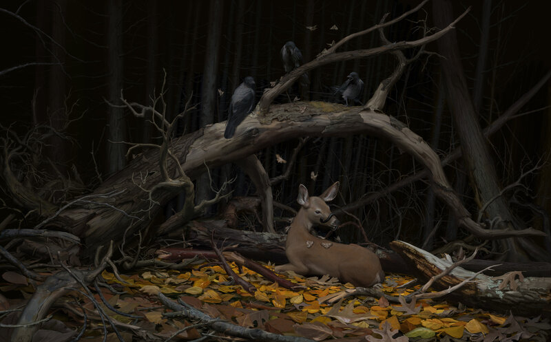 Dead Deer in Forest