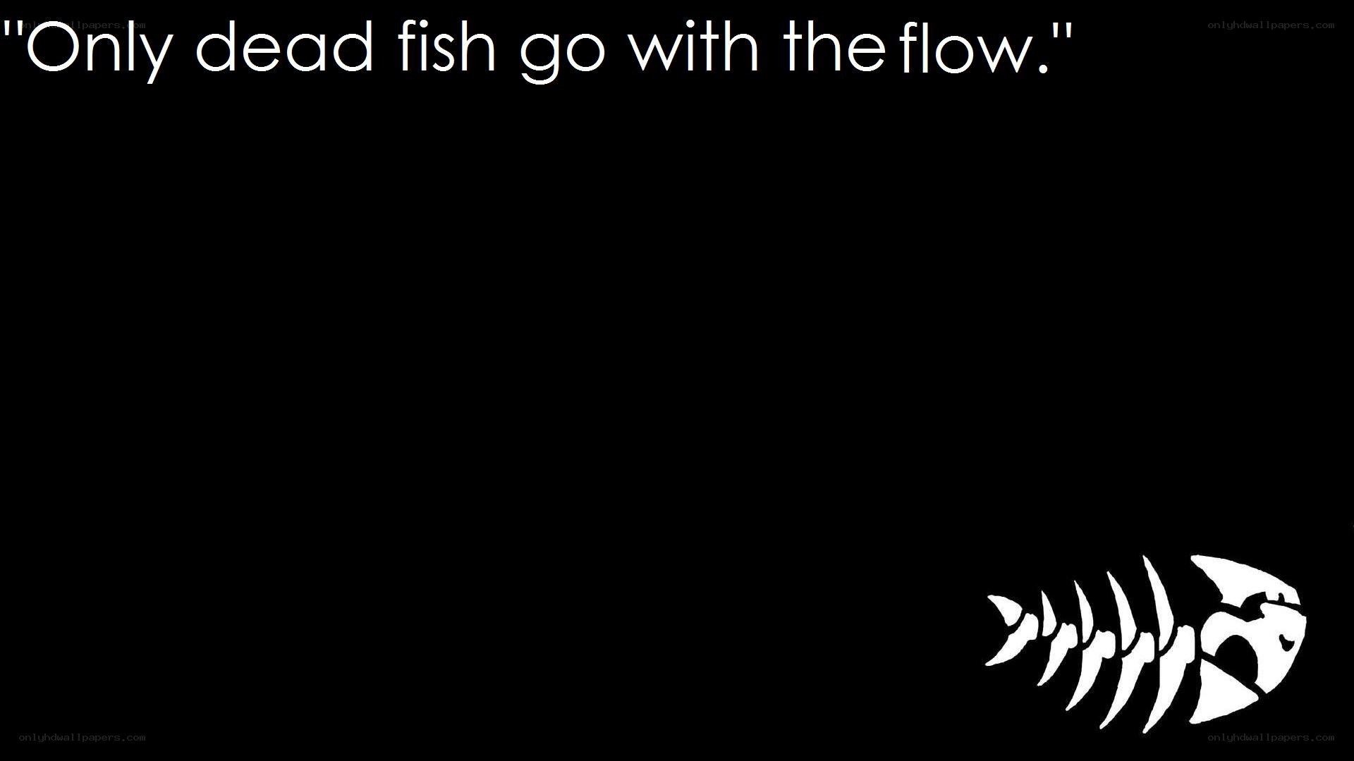 dead fish quote image