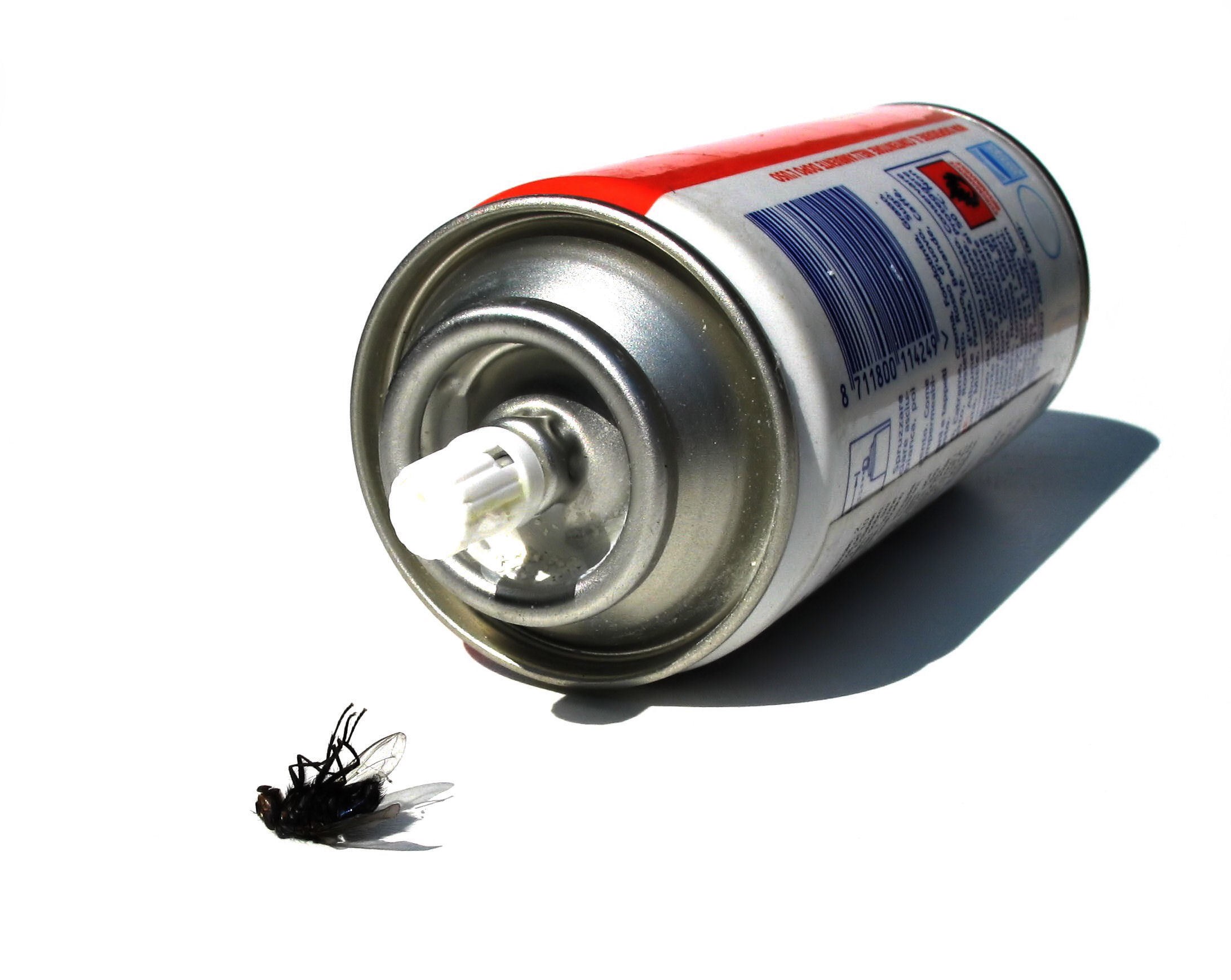 Dead fly next to aerosol can