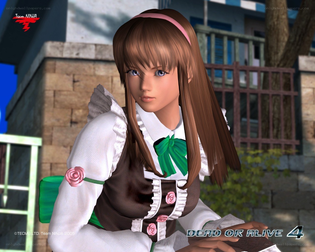 Dead or Alive 4 character portrait