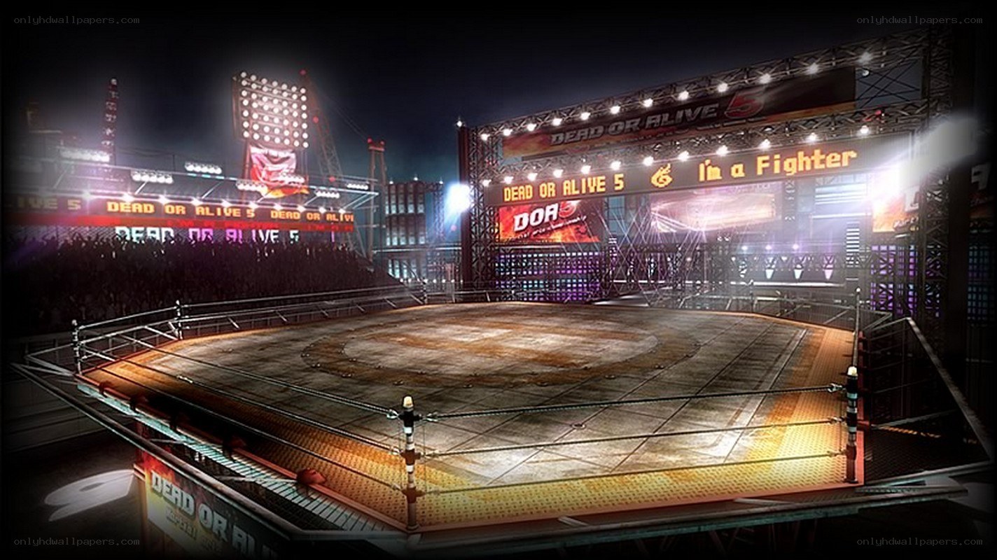 Dead or Alive 5 fighting arena