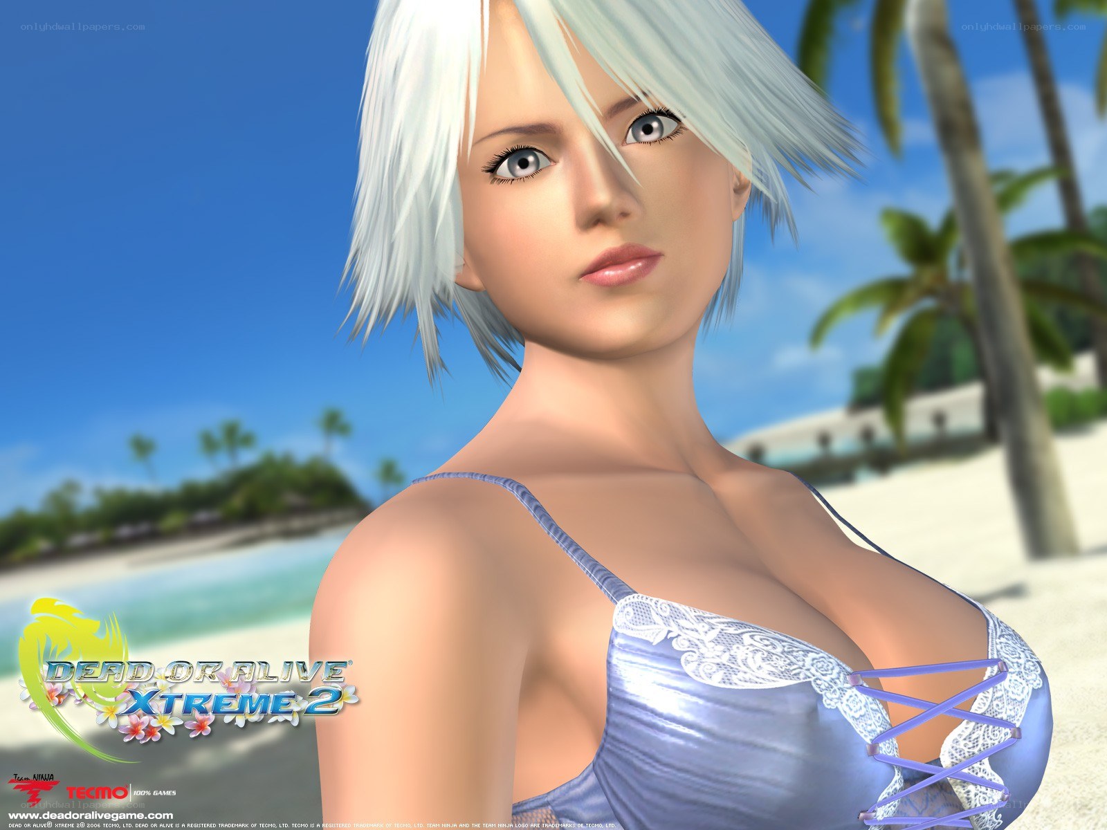 Dead or Alive Xtreme 2 character