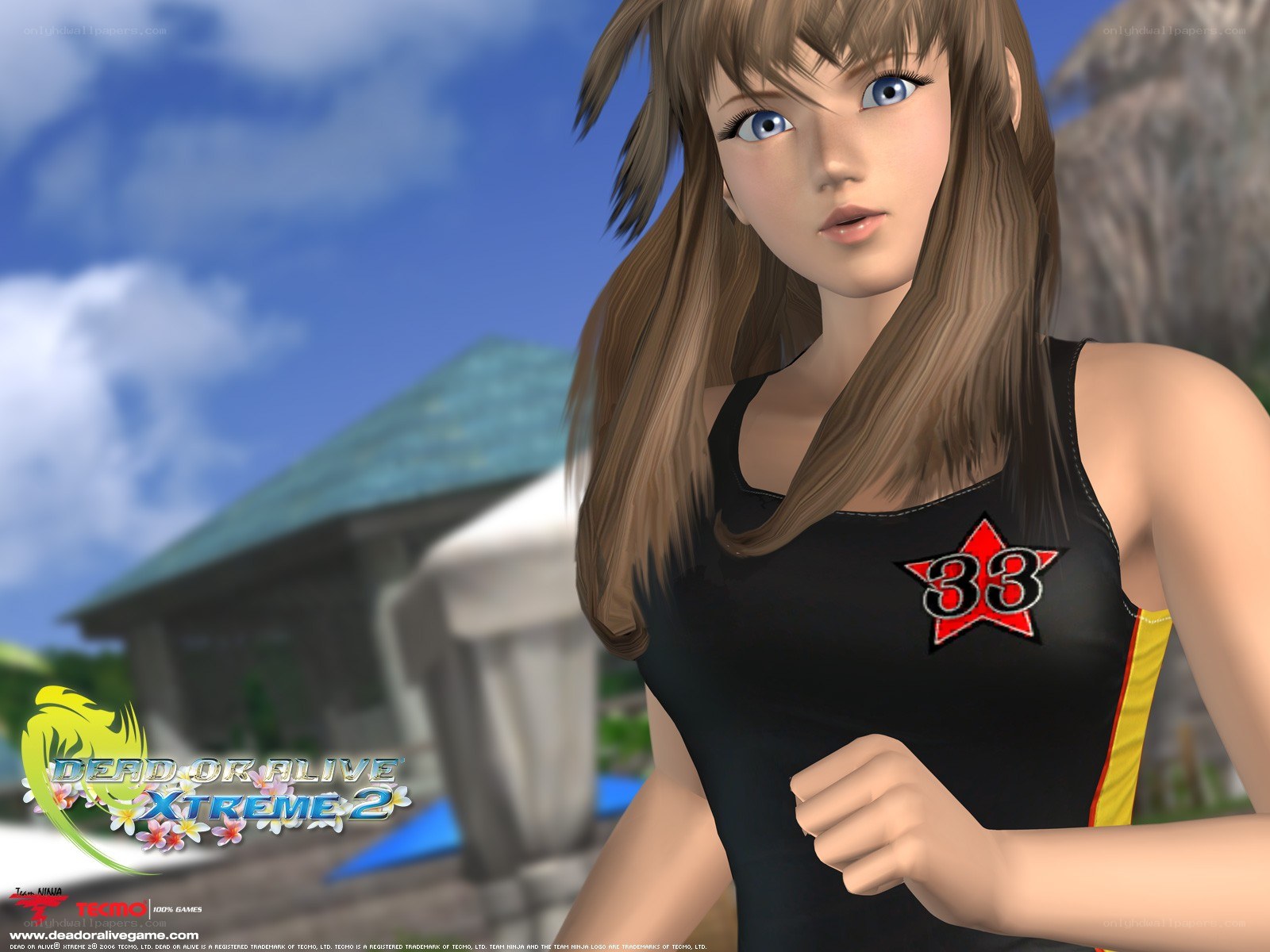 Dead or Alive Xtreme 2 character