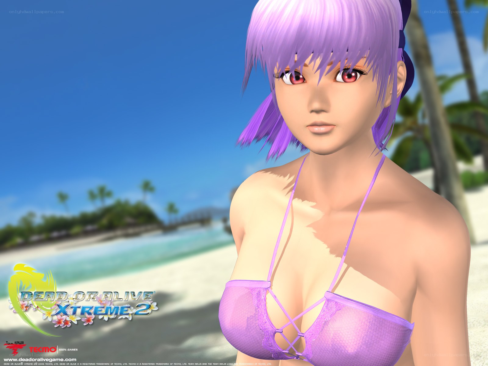 Dead or Alive Xtreme 2 character