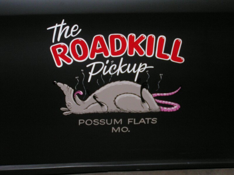 Dead Possum on Black Surface