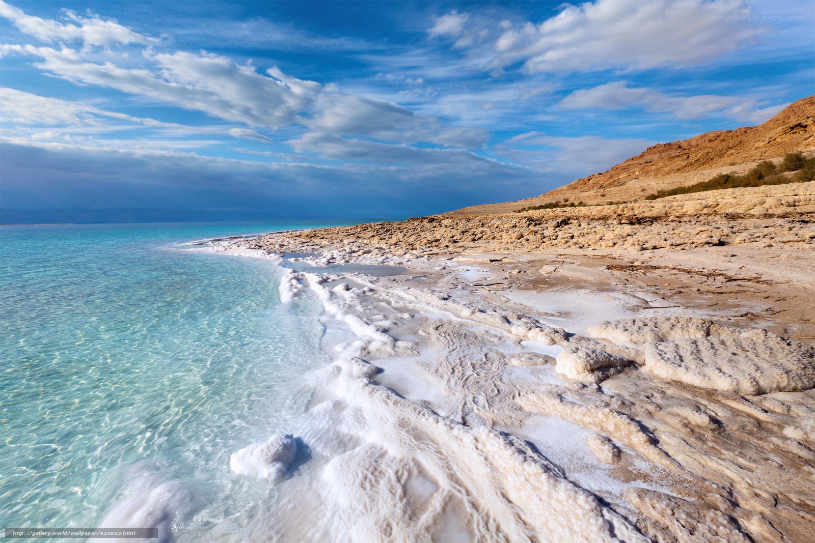 Dead Sea shoreline with salt formations