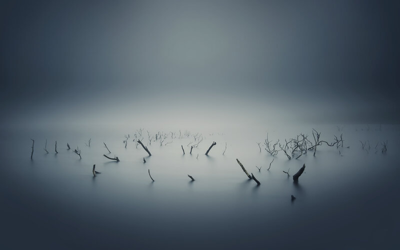 Dead Tree Branches in Water — Blue