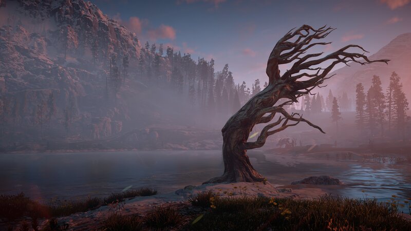 Dead Tree by Lake — Purple