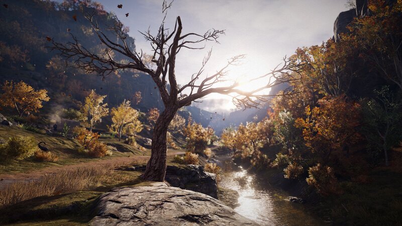 Dead Tree by River — Brown