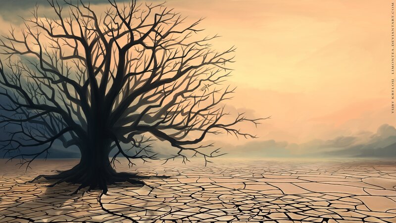 Dead Tree in Cracked Earth — Brown, Dramatic