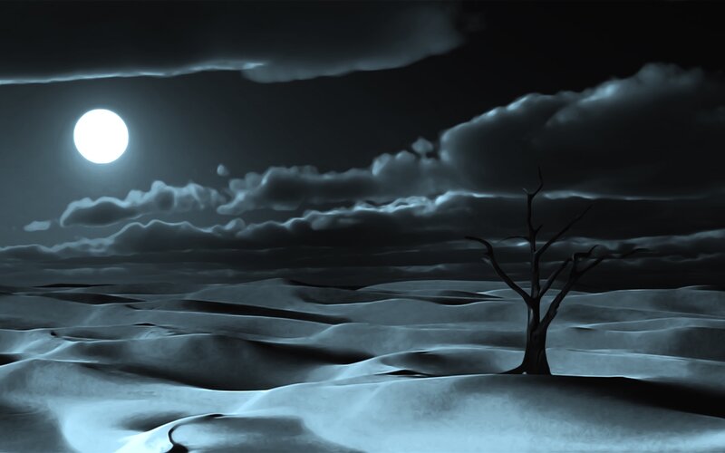 Dead Tree in Desert — Blue, Dramatic, Night