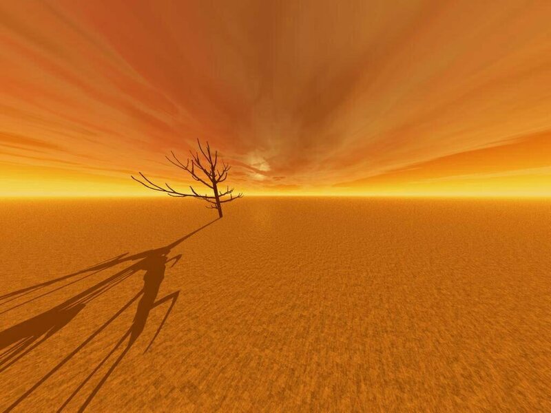 Dead Tree in Desert — Orange, Desolate