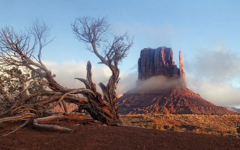 Dead Tree in Desert — Red, Serene, Sunrise
