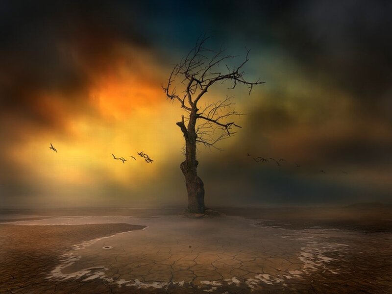 Dead Tree in Desert — Yellow