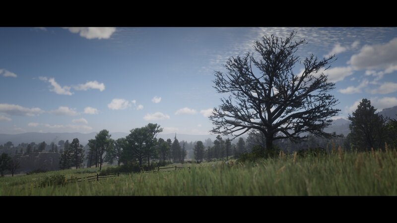Dead Tree in Field — Green, Serene, Afternoon, 3d Render