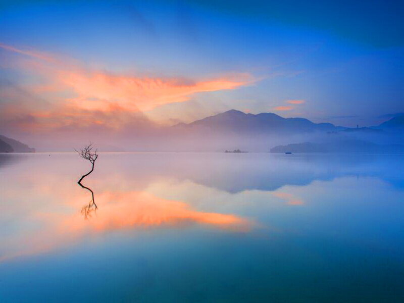 Dead Tree in Lake — Blue, Serene, Sunrise