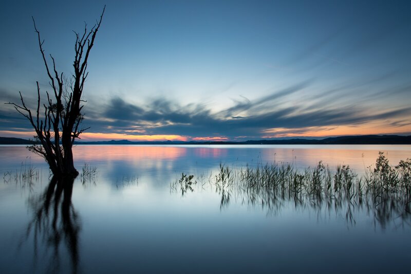 Dead Tree in Lake — Blue, Serene, Sunset, Photograph, Sky