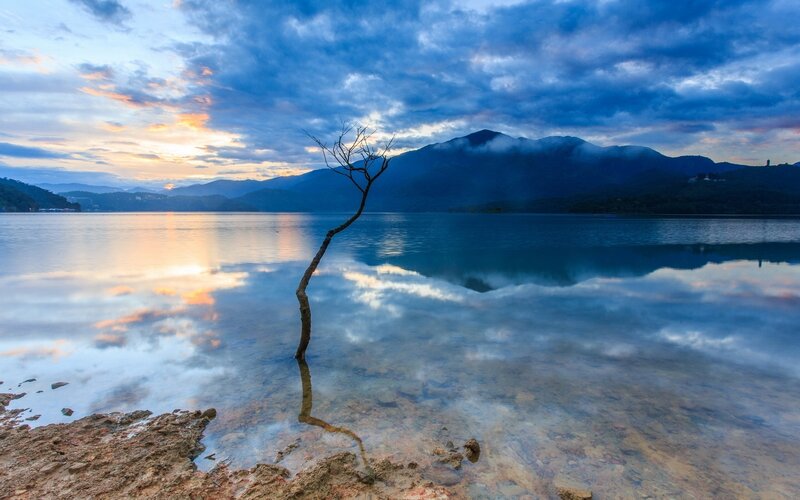 Dead Tree in Lake — Blue, Serene, Sunset