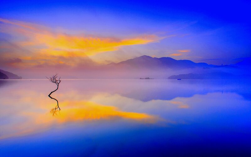 Dead Tree in Lake — Blue