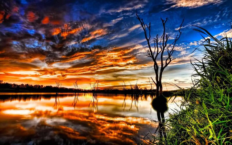 Dead Tree in Lake — Orange, Dramatic, Sunset, Photograph, Sky
