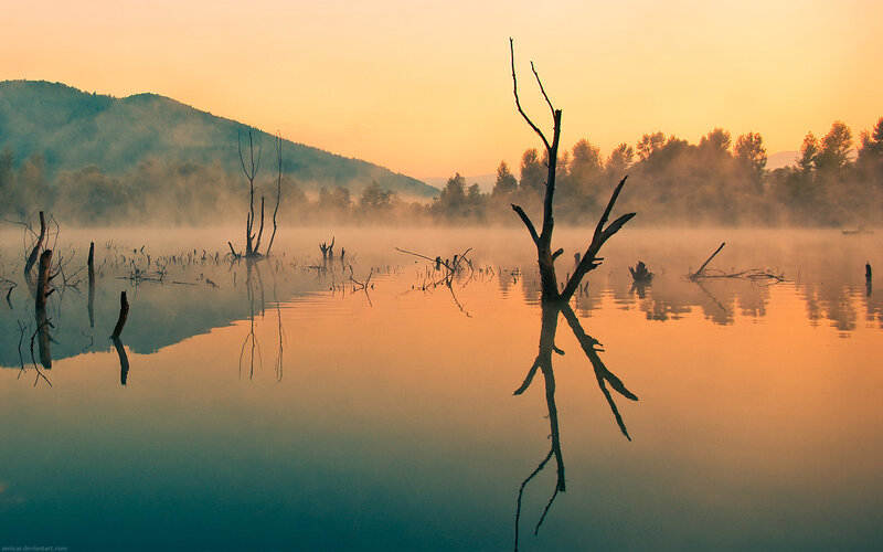 Dead Tree in Lake — Orange, Serene, Sunrise